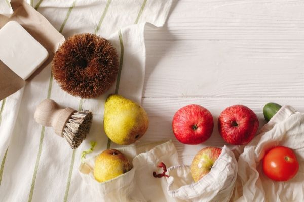 A Beginners Guide to eco-friendly living
