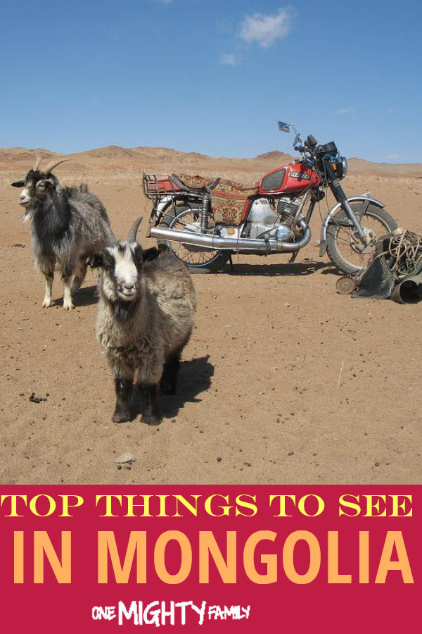 two goats and a motorbike from the Gobi dessert in Mongolia