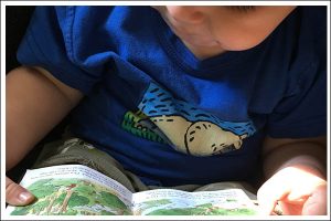 toddler reading curious george goes camping